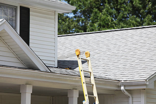 Affordable Siding Repair and Maintenance Services in Copiague, NY